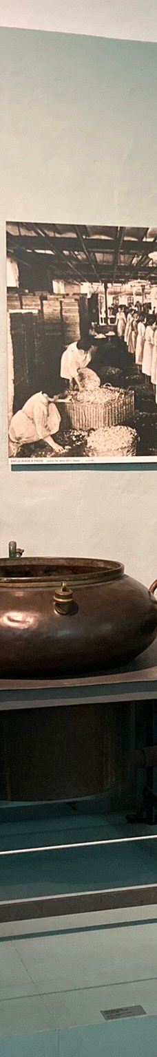 国际香水博物馆-格拉斯