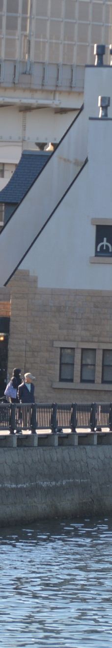 Verny Park-横须贺市