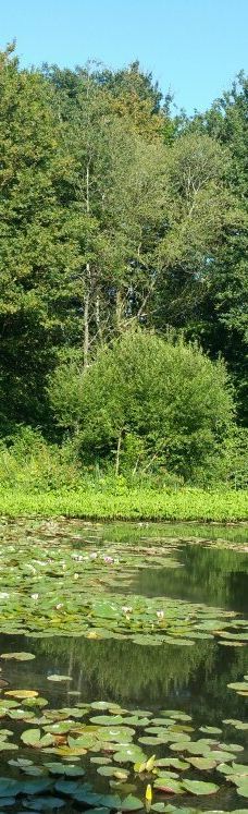 Parc des Gayeulles-雷恩