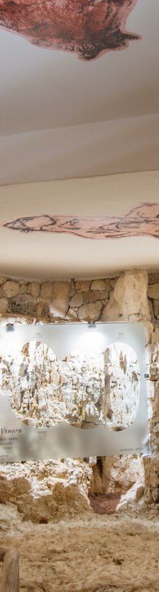 Jama - Grotta Baredine-Gedici