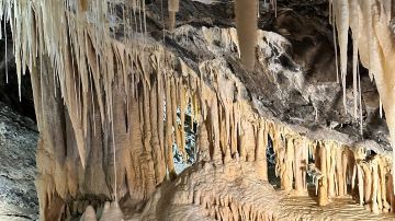 Mole Creek Caves