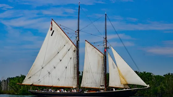 Bluenose II