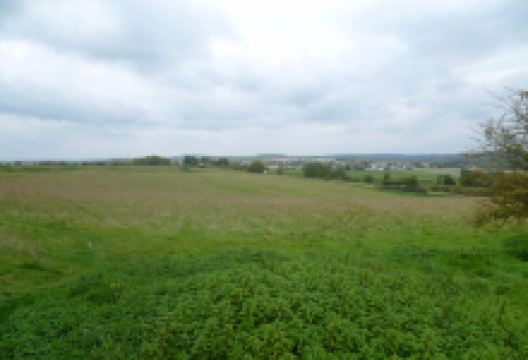 Durrington Walls景点图片