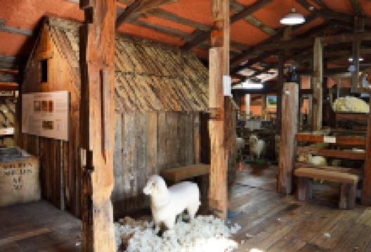 The Woolshed Museum景点图片