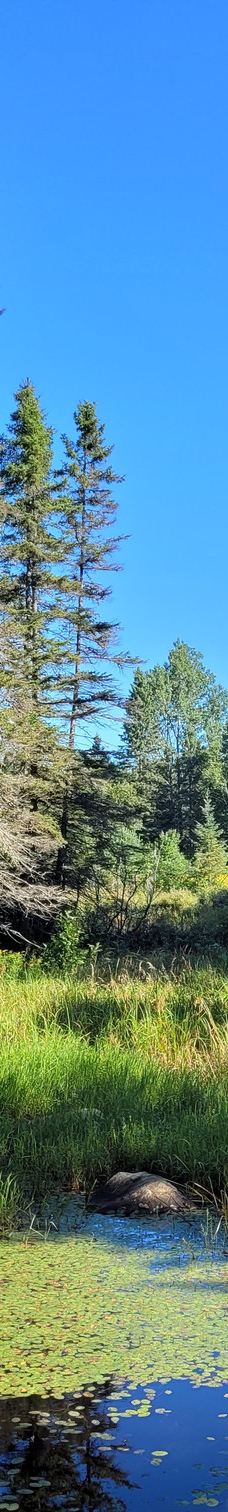 Mikisew Provincial Park-Machar