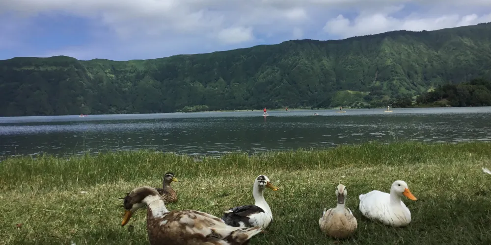 永安旅遊