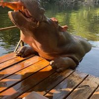 胡德斯普雷特图片