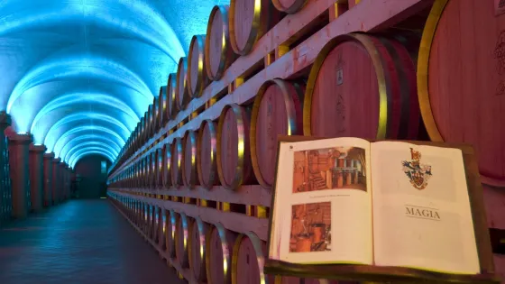 Distillerie Berta