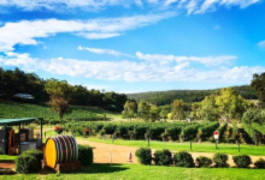 Myattsfield Vineyard景点图片