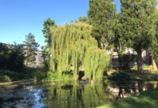 圣罗赫广场景点图片