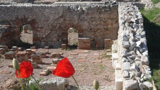 Romana de Complutum