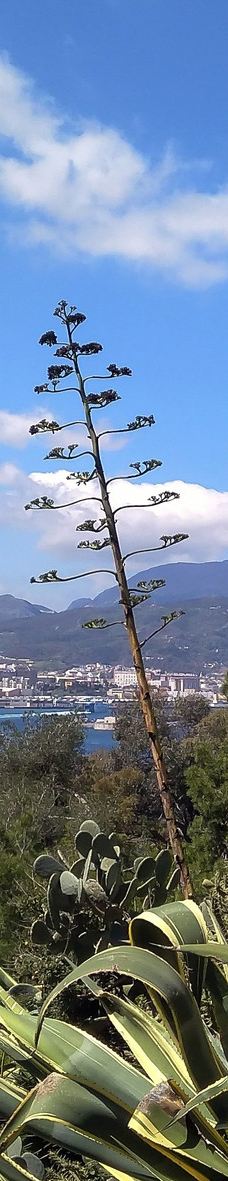 Parque de San Amaro-别德马