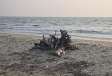 Njarackal Arattuvazhi Beach景点图片