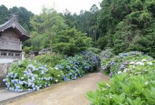 粟井神社景点图片