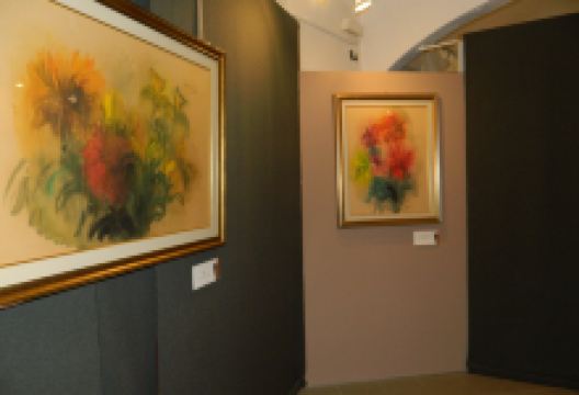 Museo civico di Moncalvo景点图片