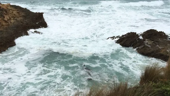 Pearses Beach