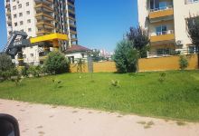 SB-Gürselpaşa Mini Yeşil Alan景点图片