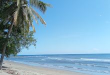 Wisata Pantai Idaman Dulukapa景点图片