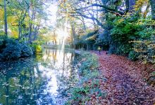 Calthorpe Park景点图片