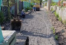 Hoa Lan Chấn Hưng (Vườn lan Ba Tri)景点图片