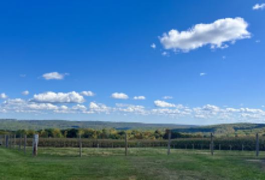 Harris Hill Farm景点图片