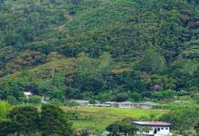 San Vito Wetland景点图片