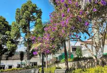 San José de la Montaña Park景点图片