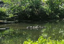 D&L Trail - Northampton Canal Park Trailhead景点图片