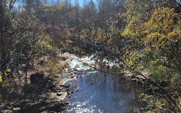 Discovery Place Nature