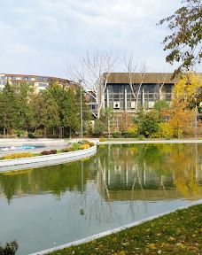 Skate Park-多布里奇