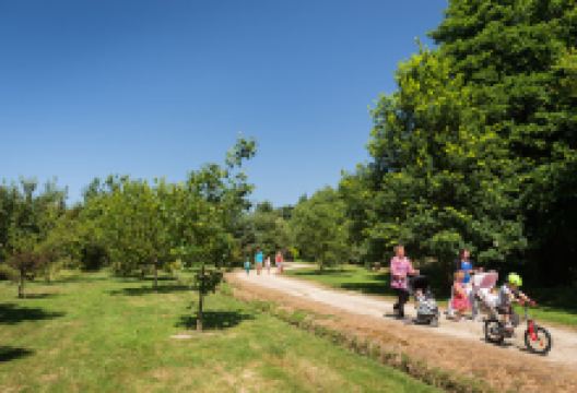 Arboretum de Carnivet景点图片