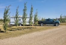 Tisdale Lions Heritage Campground景点图片