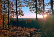 Winant Park Hiking Trails景点图片
