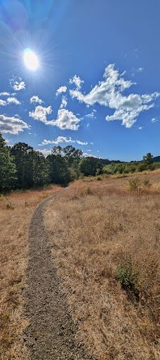 Dr. Martin Luther King Jr Park-科瓦利斯