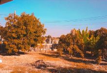 ซุ้ม NPD Fram景点图片