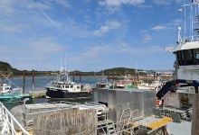 Blacks Harbour Wharf景点图片
