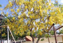 La Placita Park景点图片