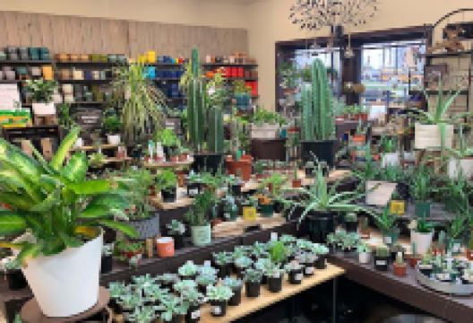 Earl May Garden Center购物图片