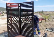 Prinia 2022购物图片