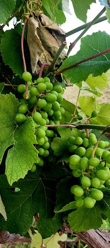 HaMoshava Park-Ezor Zihron Ya'akov