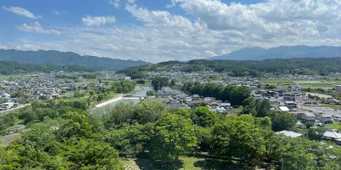 Inariyama Park Cosmo Tower