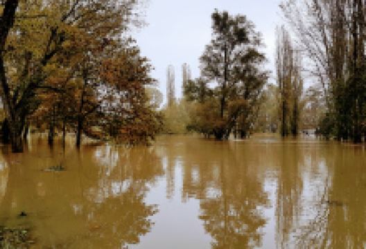 Museo Civico Archeologico "G. Ferraresi"景点图片