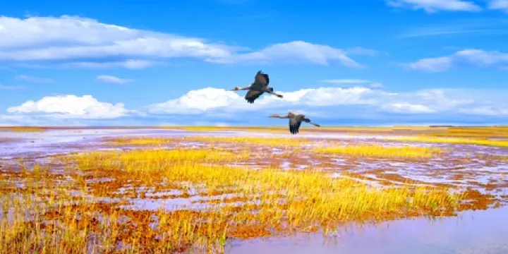 黃河口生態旅遊區-雁湖