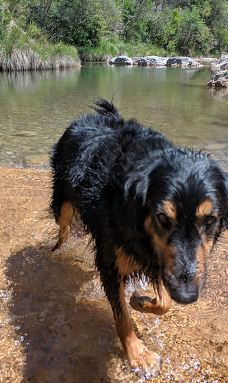 gorgues D'Albanyà-阿尔瓦纳