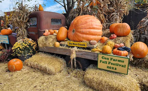 Cox Farms