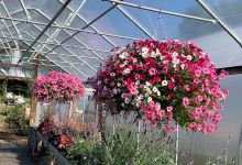 Spray's Landscape Services购物图片