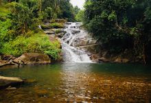 Buffalo Head Waterfall景点图片