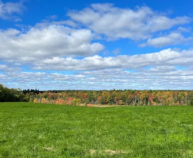 Bangor City Forest