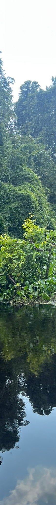 京那巴当岸河-基纳巴唐岸