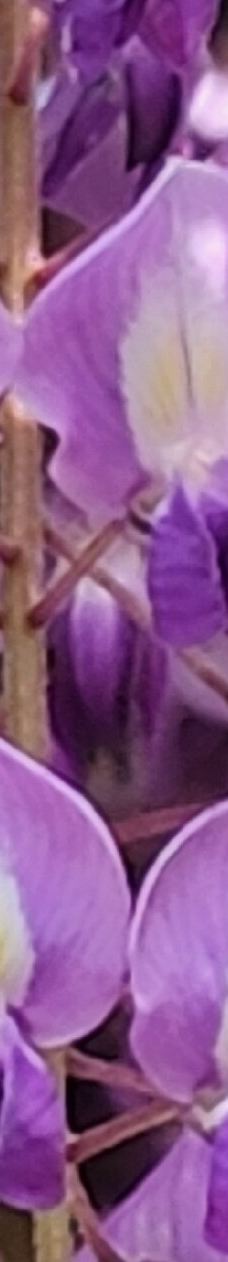 名城公园-名古屋